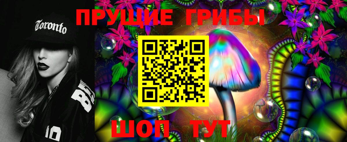Галлюциногенные грибы Cubensis Муравленко