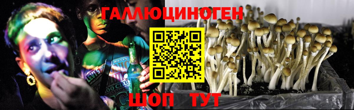 Муравленко  Галлюциногенные грибы GOLDEN TEACHER  Вход с VPN 